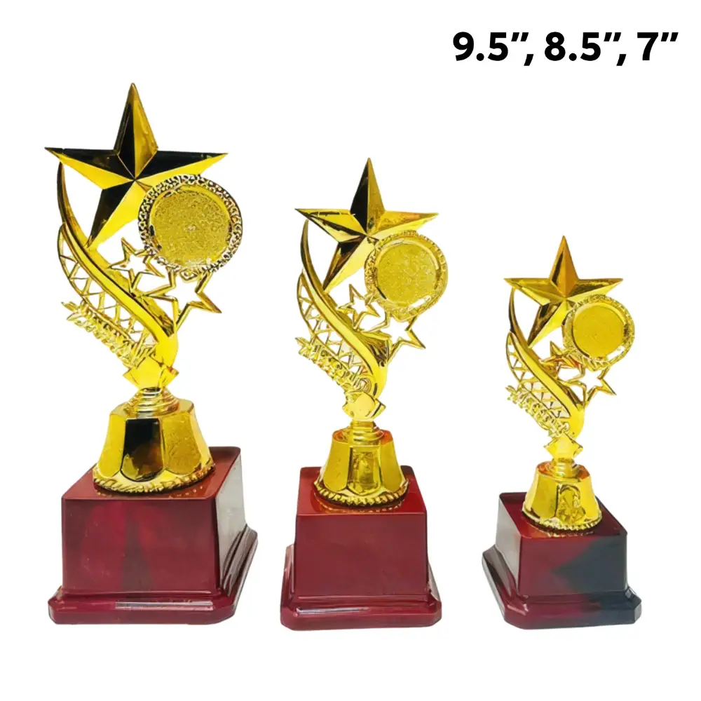 Wooden shining star trophy